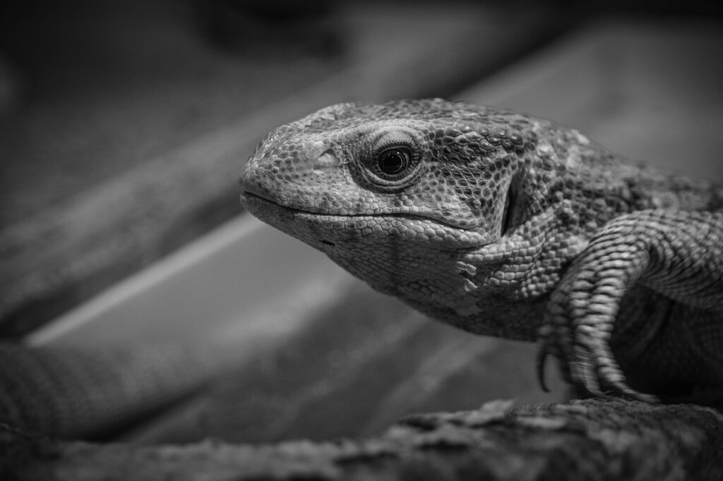 美白ケアを続けるためのコツは何ですか？