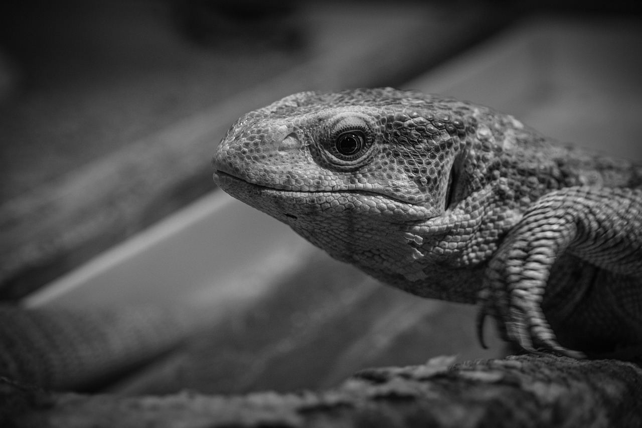 美白ケアを続けるためのコツは何ですか？