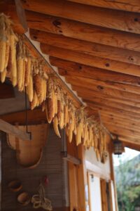 肝斑が消えた体験談を通じて得た効果的な対策は？